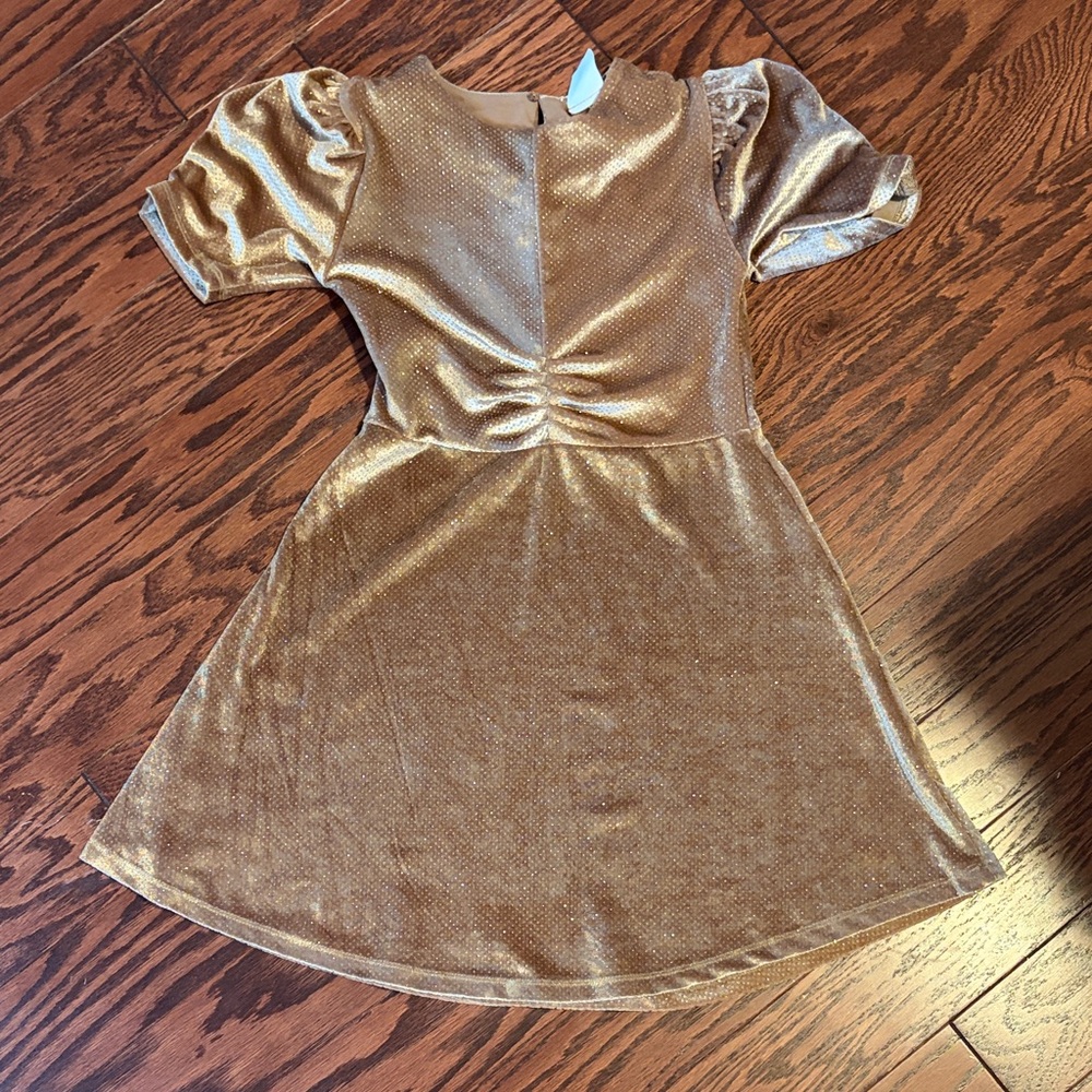 Zara Kids Velvet Dress in Shimmering Tan